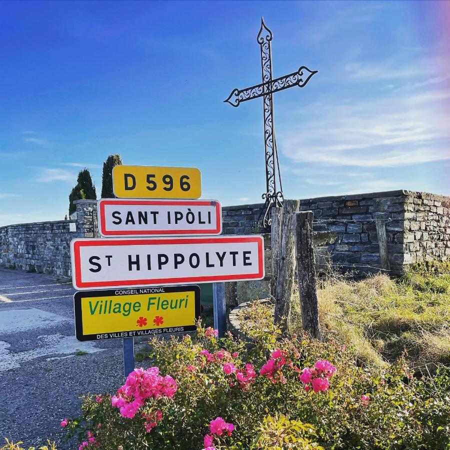 Saint-Hippolyte  Gite De Sejour Haut 2 Gammes מראה חיצוני תמונה